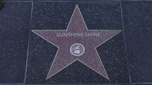 Grand Theft Auto V의 바인우드 명예의 거리에 있는 Sunshine Shine의 별.