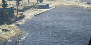 AlamoSeaMarina-GTAV-AerialView.png