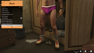 MonkeyMosaics-GTAVe-Rewards-SpaceMonkeyBriefs4.png