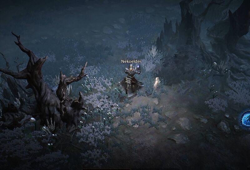 파일:Dark Wood DI.jpg