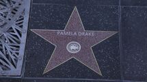 바인우드 명예의 거리에 있는 파멜라 드레이크의 별.
