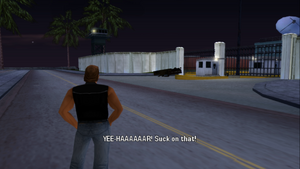 OverTheTop-GTAVCS-SS9.png