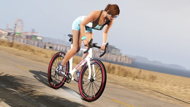 파일:EndurexRaceBike-GTAO-RGSC-Action.jpg