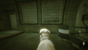 Chop21-GTAV.png