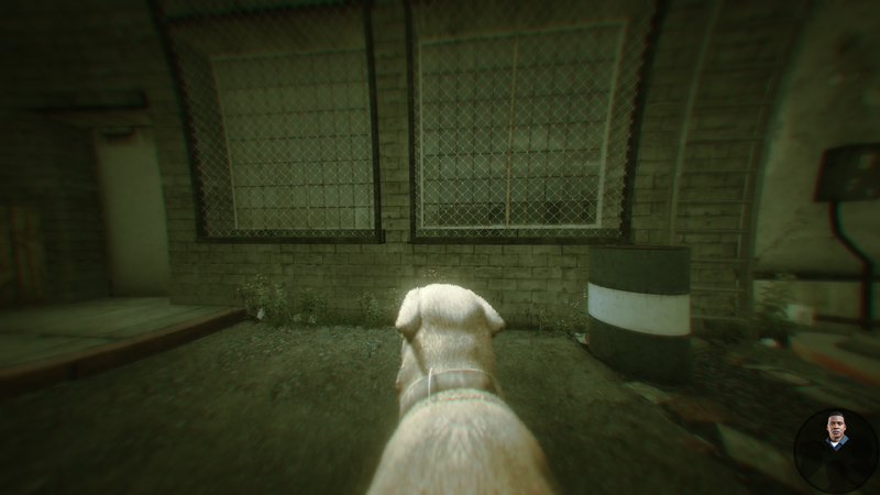 파일:Chop21-GTAV.png