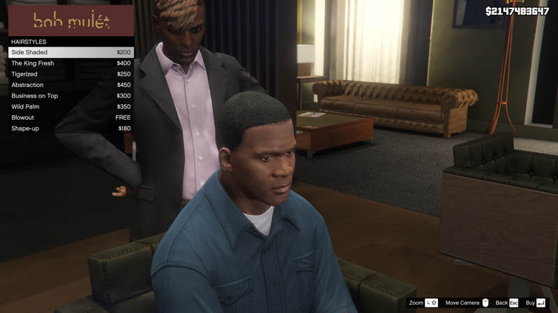 파일:HighEndBarbers-GTAV-FranklinHairstyles-SideShaded.png