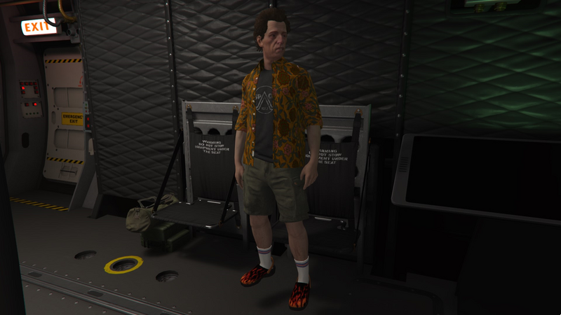 파일:AviSchwartzman-GTAOe-InsidetheAvenger.png