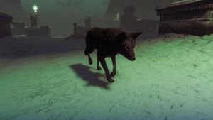 LudendorffCemeterySurvival-GTAOee-PossessedCoyote.jpg