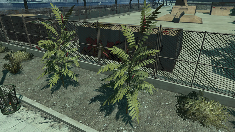 파일:StaghornSumac-GTAIV-SS2.png