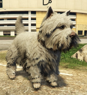 WestHighlandTerrier-GTAV.png