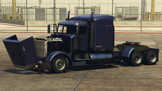 그랜드 테프트 오토 V/온라인 기타