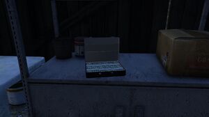 BraddockFarm-GTAV-RandomEventBriefcase.jpg