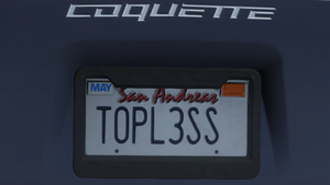 Custom Plate GTAO T0PL3SS.png