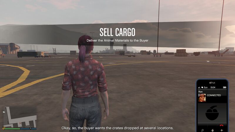 파일:AirFreightCargoSellMissionAlpha-Z1-GTAO-SS1.jpg
