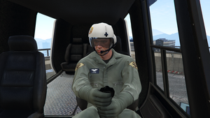 Hainespilot-GTAV-flying.png