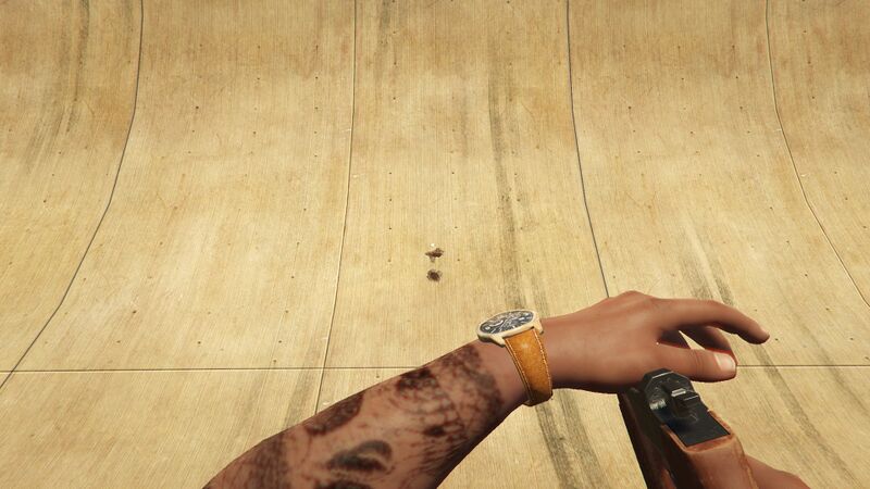 파일:MarksmanPistol-GTAV-Relaoding.jpg