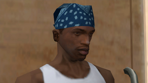Clothing-GTASA-Binco-Hats-BlueRagBack.png