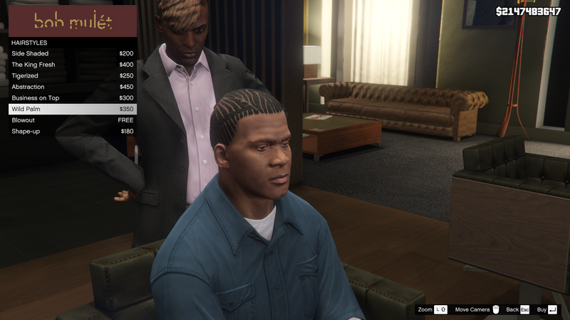 파일:HighEndBarbers-GTAV-FranklinHairstyles-WildPalm.png