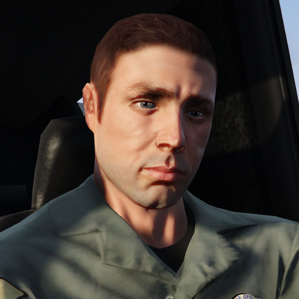 파일:MerryweatherHelicopterPilot-GTAO-Portrait.png