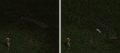 2026년 5월 5일 (화) 18:05 판의 섬네일