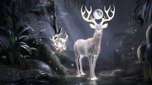 The Springmoon Stag.jpg