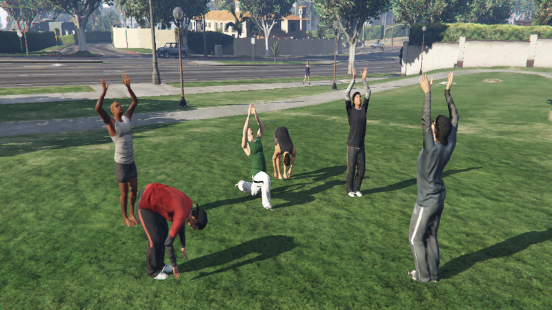 파일:CottagePark-GTAV-Yoga1.png