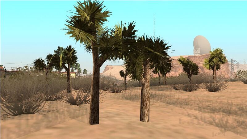 파일:JoshuaTree-GTASA-SS1.jpg