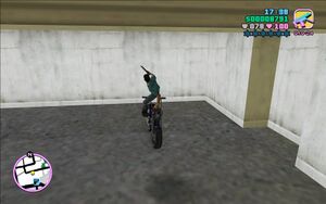 HogTied-GTAVC-SS15.jpg