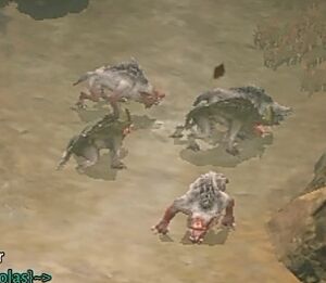 Varanids.jpg