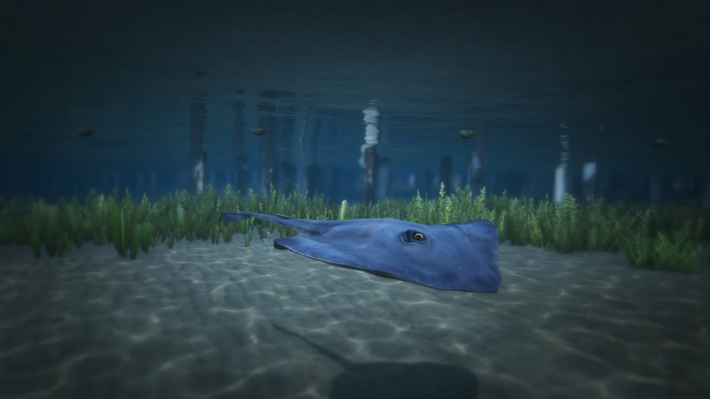 파일:Peyote Plants Animals GTAVe Stingray.png