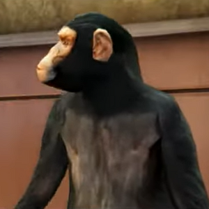 Chippy-GTAV-Meltdown-Monkey.png