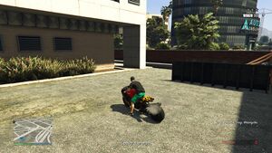 KnoWayOut-GTAOee-NegativePress-SS30.jpg