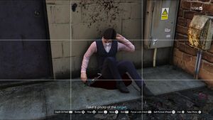 MadrazoHits-GTAOee-TakeAPhotoOfTheTarget.jpg