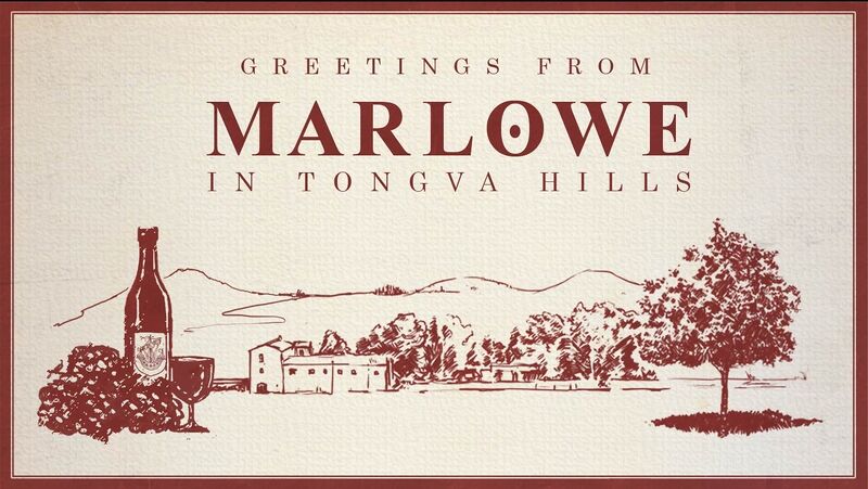 파일:Marlowe-GTAV.jpg.jpg