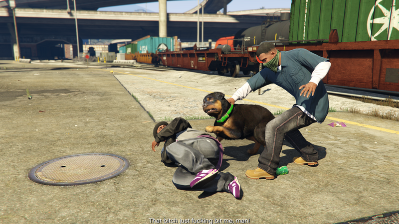 파일:Chop24-GTAV.png