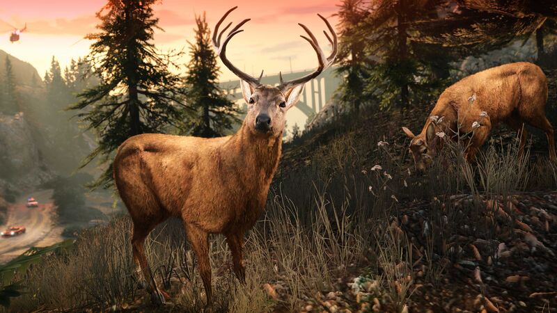 파일:GTAVE&EPC-GTAOee-Wildlife.jpg
