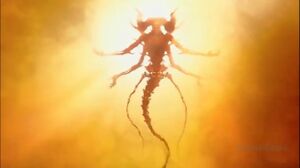 Mephisto Glimpse.jpg