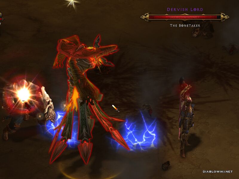 파일:Dervish lord.jpg