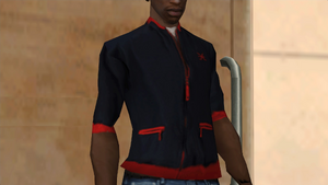 Clothing-GTASA-Binco-Torso-TrackTop.png