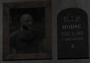 Horse.jpg