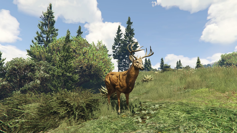 파일:Peyote Plants Animals GTAVe Deer.png