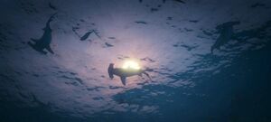 Sharks-GTAV-nextgen.jpg