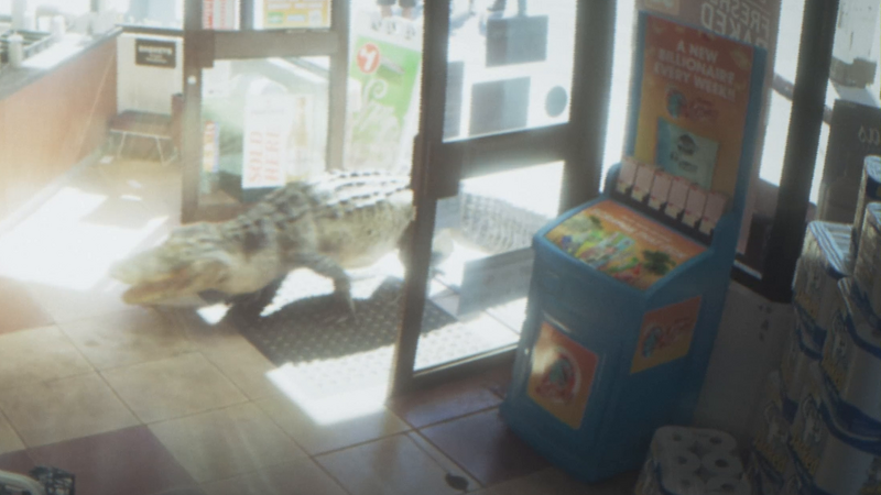파일:Ballfin-GTAVI-Trailer1-2.png