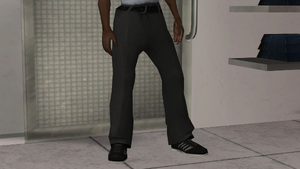 Clothing-GTASA-Victim-Legs-GrayPants.png