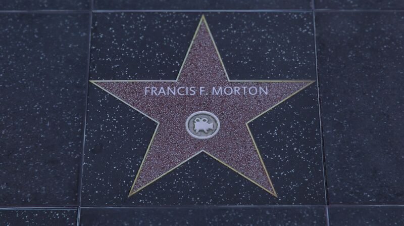 파일:WalkofFame-GTAVee-FrancisMorton.jpg