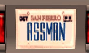 Assman License Plate.jpg
