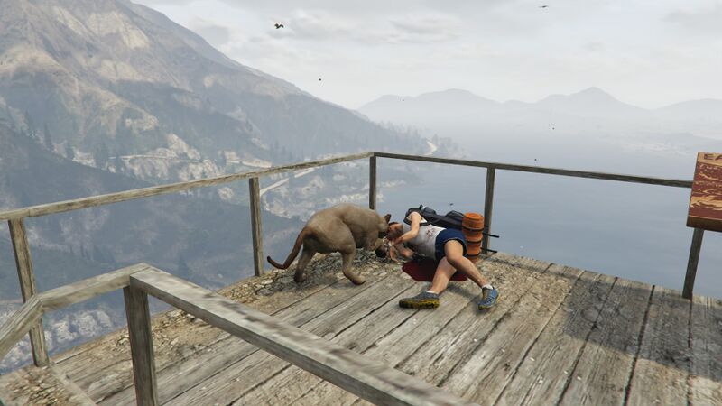 파일:Cougar GTAVe Peyote Killer.jpg