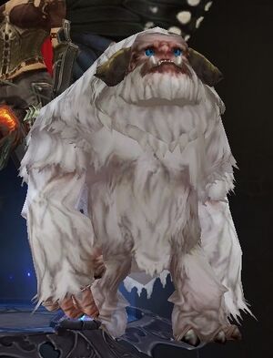Pet-yeti2.jpg