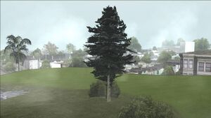 PineTree-GTASA-SS3.jpg