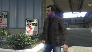 Switch Scenes GTAVe Michael Motel.jpg